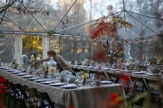 carpa transparente